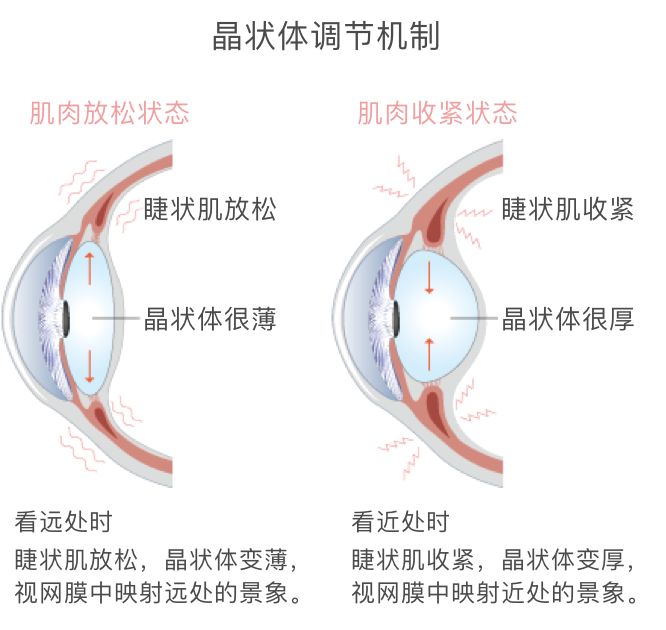 微信图片_20220302140351.jpg