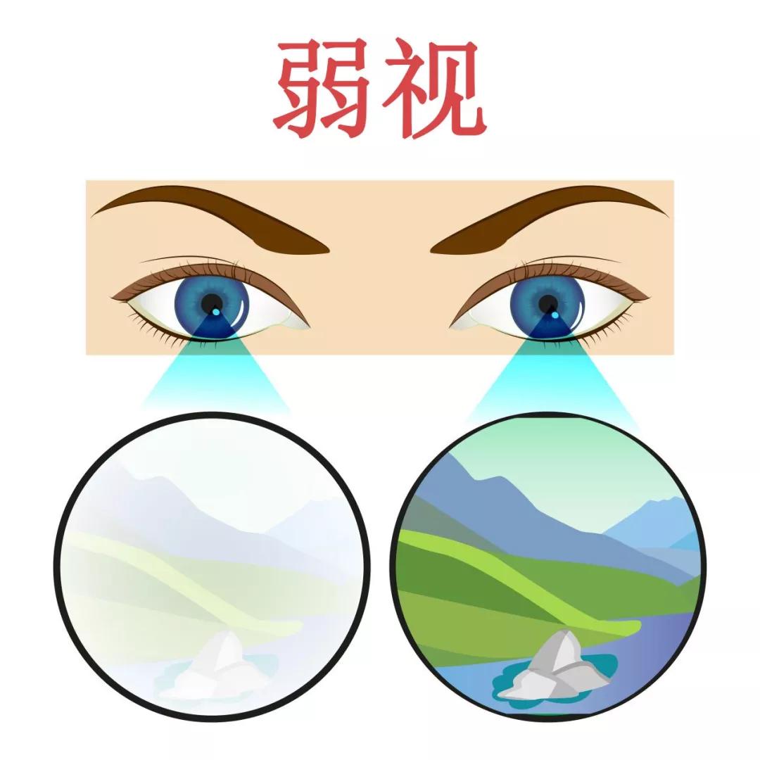 微信图片_2025-10-27_093428_013.jpg 微信图片_2025-10-27_093428_013.jpg